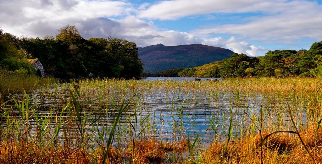 Autotour dell'Irlanda di 8 notti