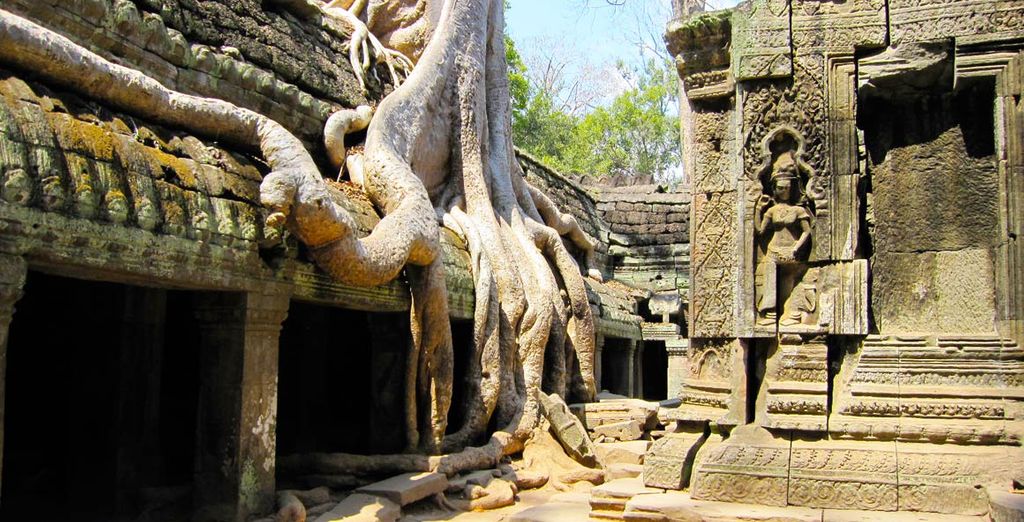 Tour individuale  – L’essenza del Vietnam da Nord a Sud + Estensione Cambogia