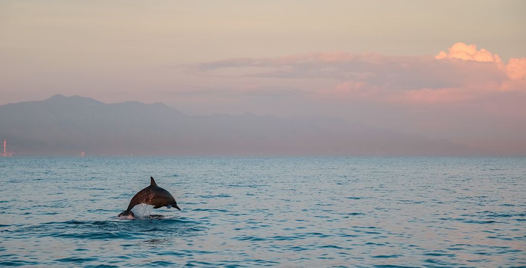 Combinato le perle di Bali: Candidasa, Pelaga, Lovina e soggiorno mare a Uluwatu