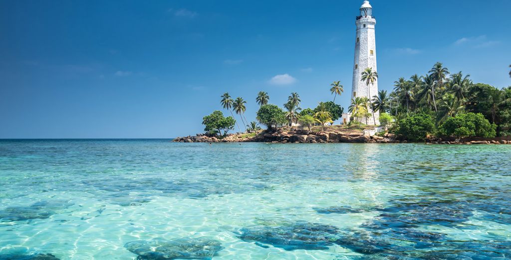 Tour dello Sri Lanka tra parchi naturali e città