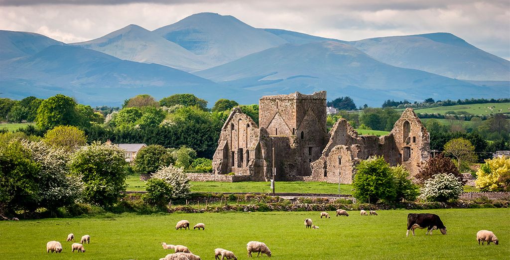 Autotour attraverso il meglio dell'Irlanda