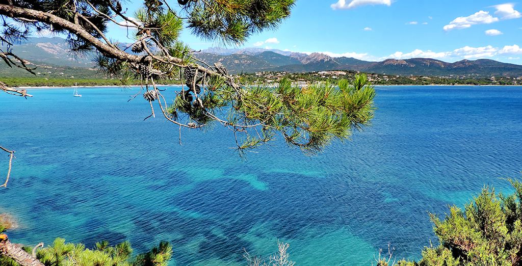 Marina di Pinarello Residence - Tranquillità Familiare in Area Boschiva