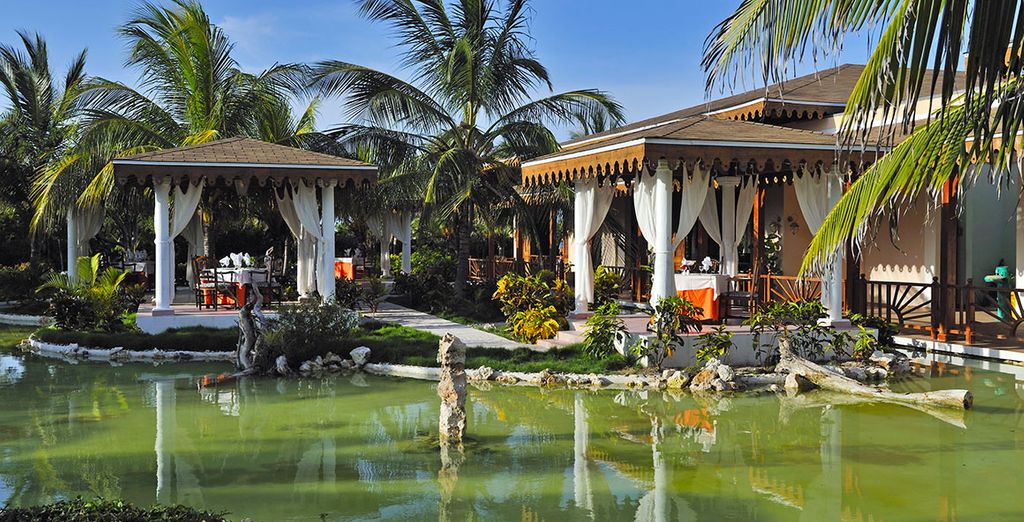 Tour di Cuba + Melia Las Dunas Cayo S. Maria 5*