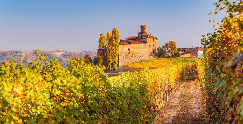 Tenuta Pian D’Attesio