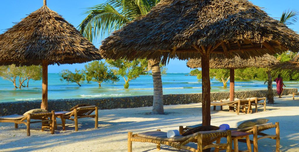 Simba Safari + estensione mare a Zanzibar