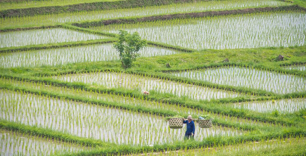 Tour Bali & le sue spiagge