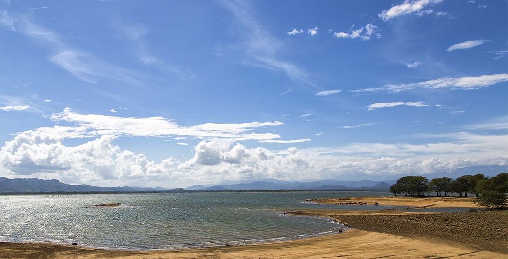 Tour completo dello Sri Lanka con mini safari - 7 notti in Hotel 4 e 5*