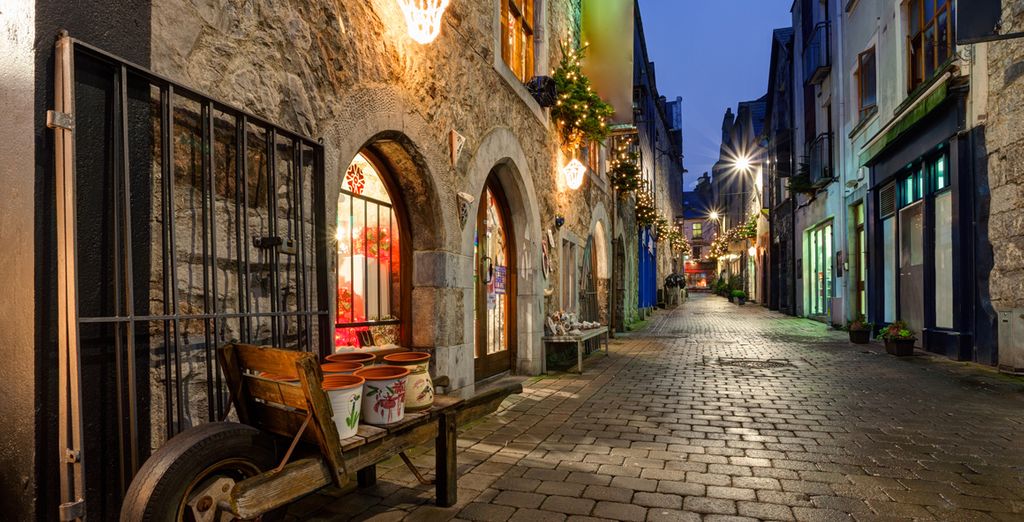 Tour dellle campagne irlandesi