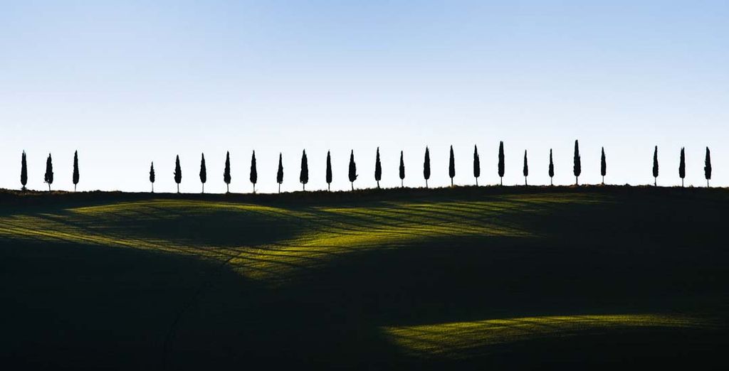 Tour della Toscana tra costa e colline