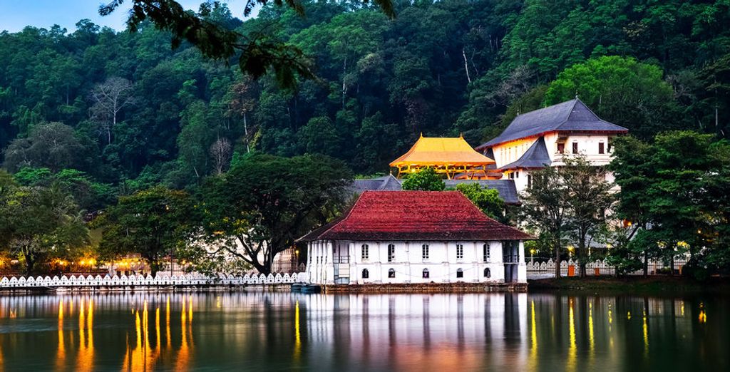 Tour Sri Lanka + Safari