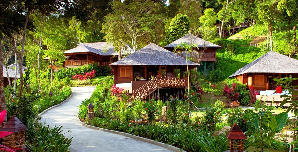 Il Borneo malese