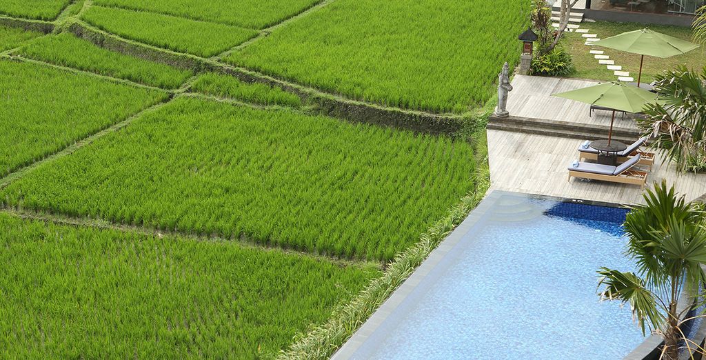 Ubud e Bali in tour di 7 notti