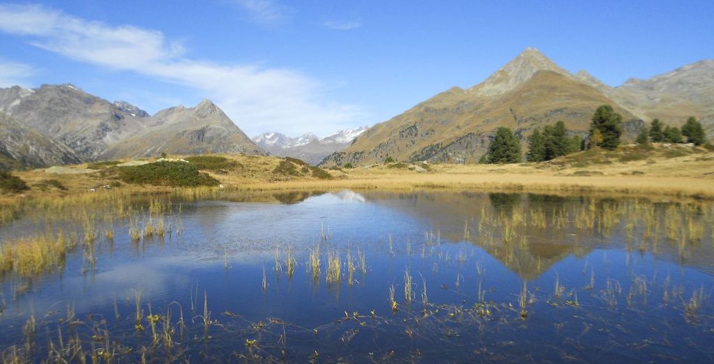 Alpinhotel Jesacherhof 4*