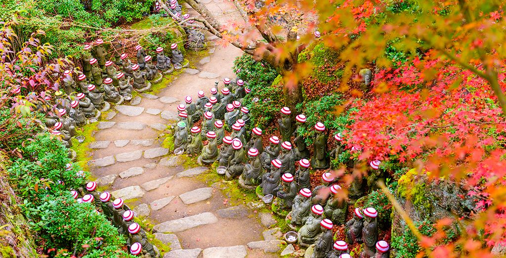 Combinato Tokyo + Kyoto in libertà