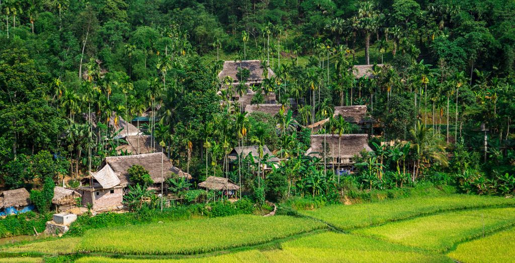 Tour privato del Vietnam insolito e possibile estensione in Laos in 10 e 13 notti