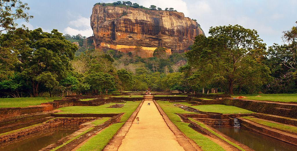 Tour privato in Sri Lanka con possibile soggiorno a Dubai