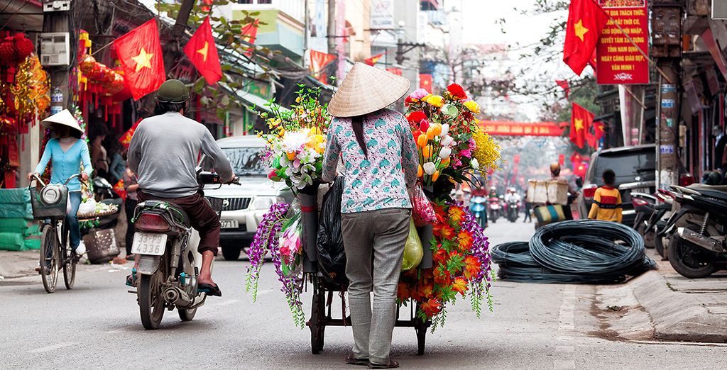 Tour Essenziale del Vietnam
