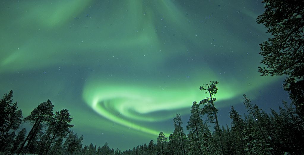 Lapponia estrema in spedizione con cani husky da slitta