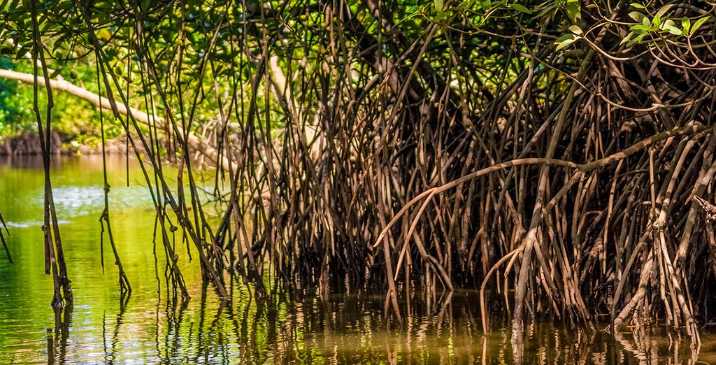 Tour privato della Malesia e soggiorno mare a Langawi