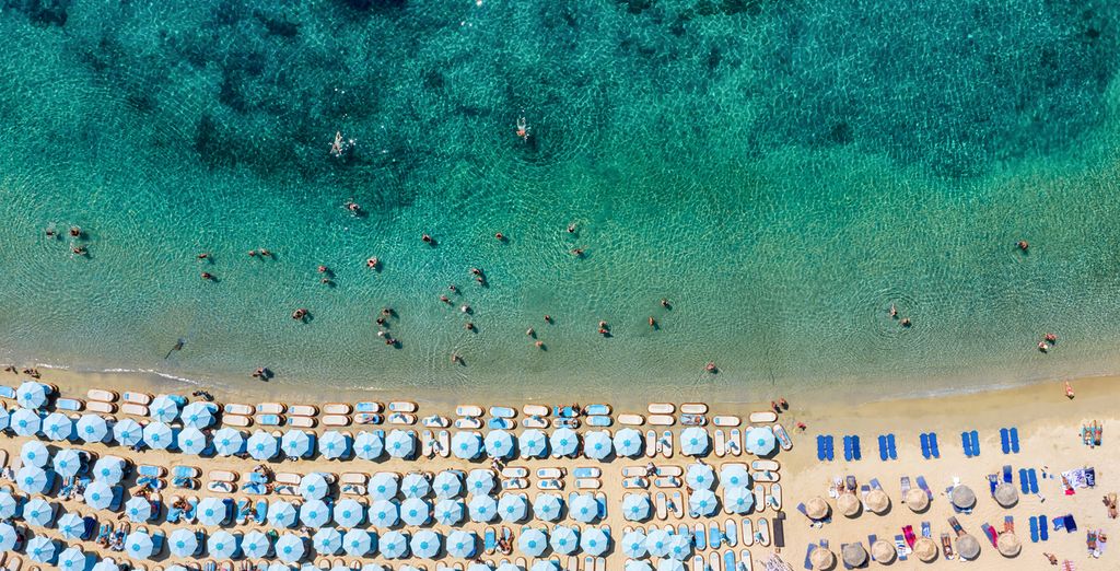 Jenny's Summer Houses