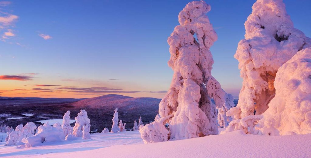 Esperienza in Lapponia con soggiorno opzionale a Rovaniemi