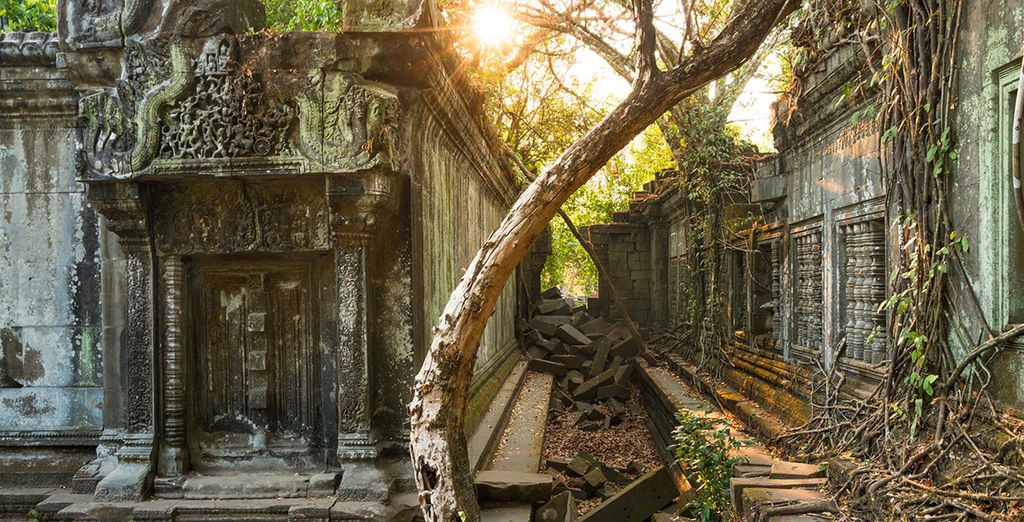 Tour del Nord del Vietnam e Cambogia