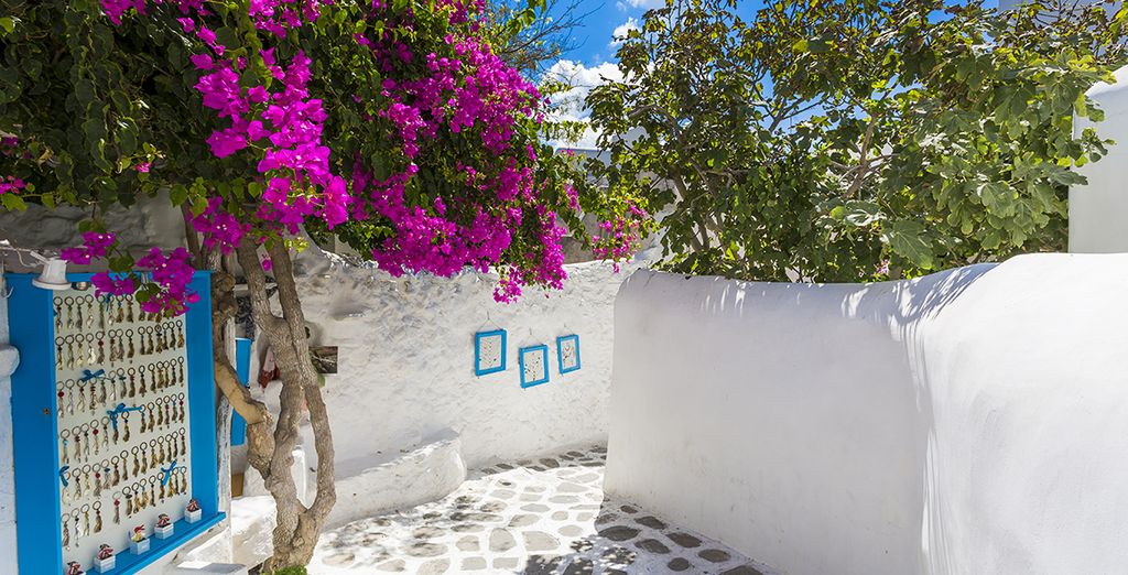 Tour delle Cicladi con estensione a Paros