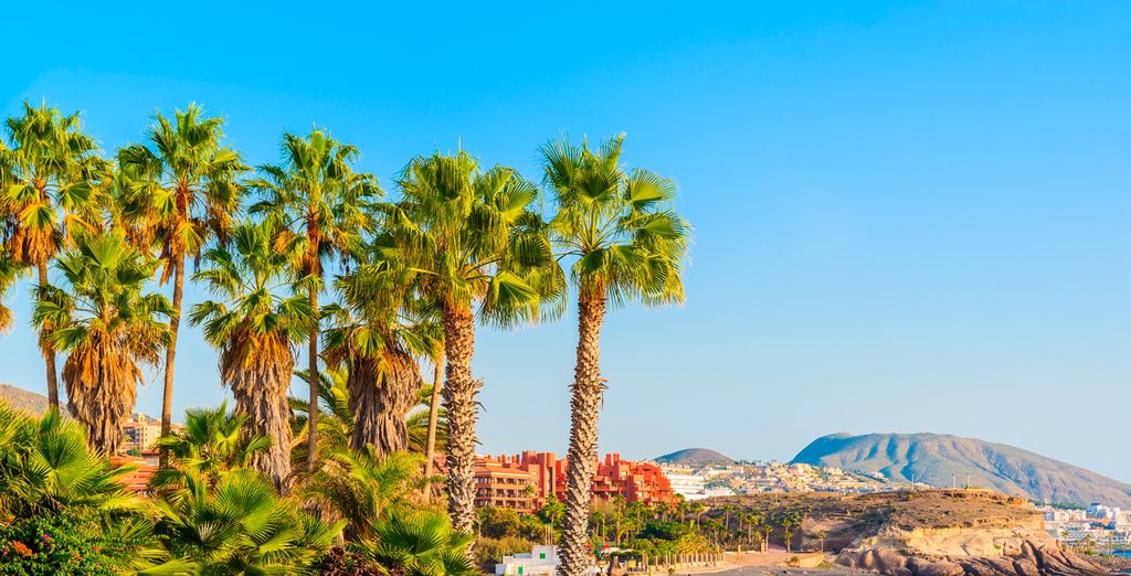 Hotel Vincci Tenerife Golf