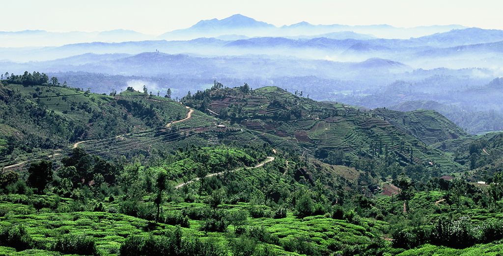 Tour dello Sri Lanka con soggiorno al Makunudu Island 4*