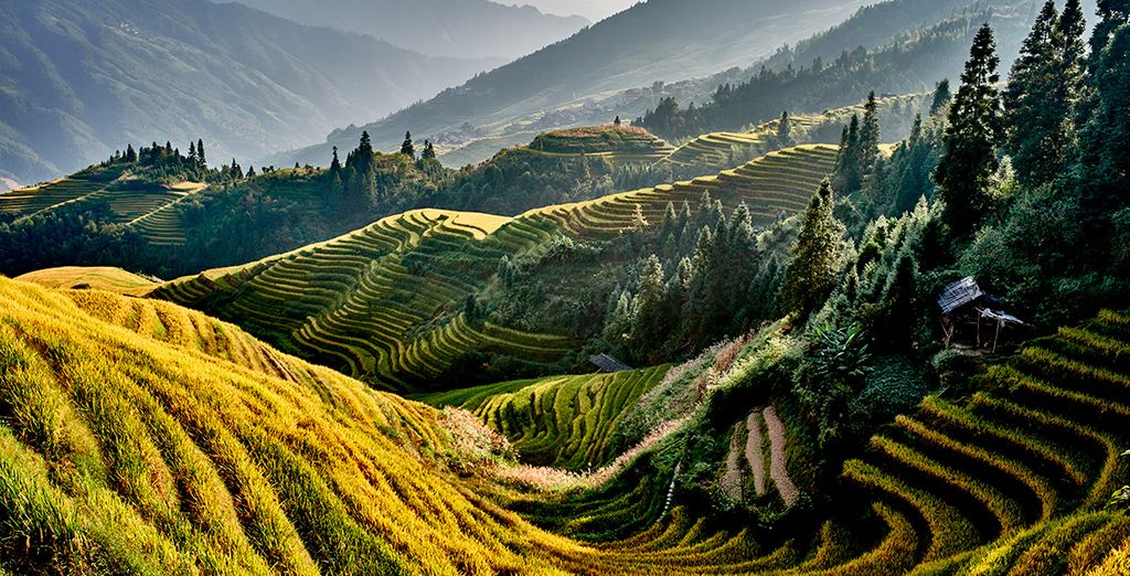 Tour Completo della Cina