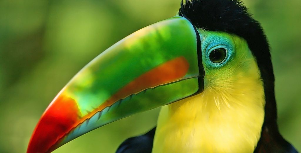 Tour Brasile Rio, Iguazu, Salvador de Bahia in 4*