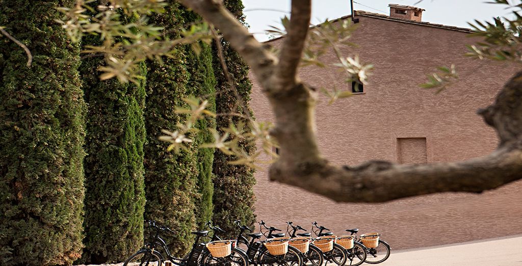 Hotel Terra Dominicata 5*