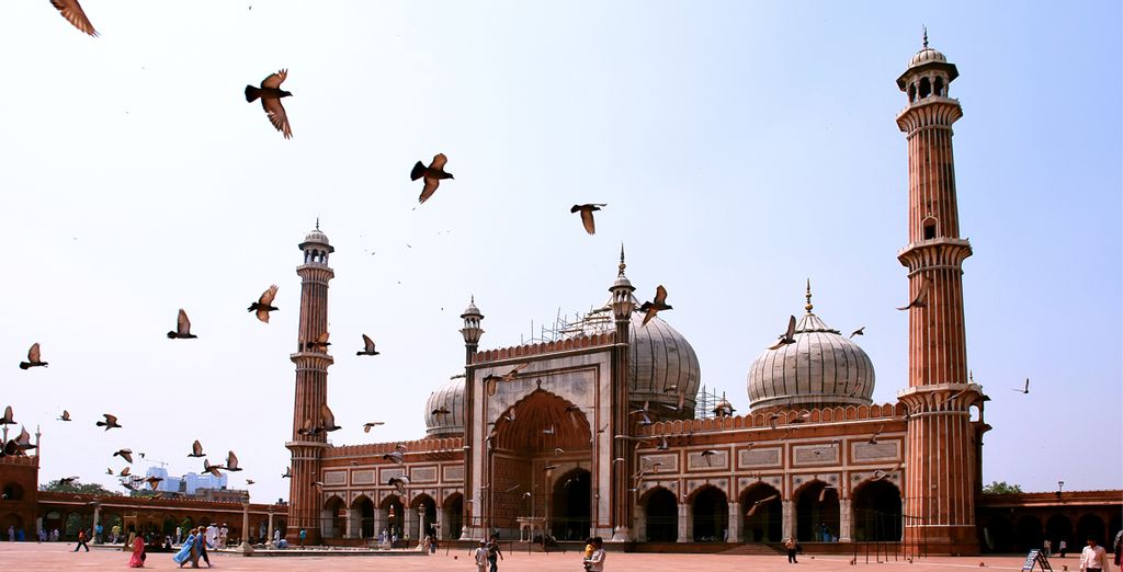 Tour dell'India e Nepal in hotel 4 e 5*
