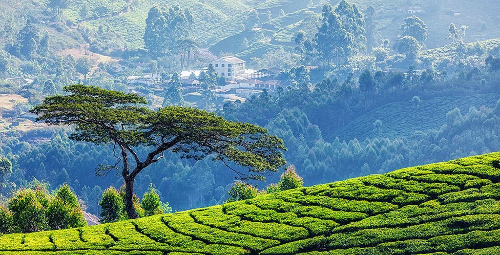 Tour i profumi del Rajasthan e del Kerala in 13 notti