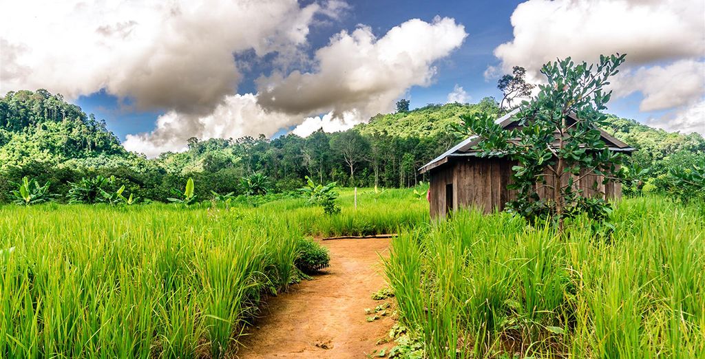 Tour Privato Cambogia + estensione mare a Sihanoukville o a Mondulkiri