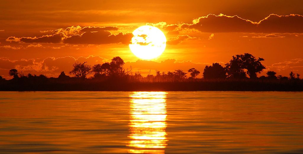 Selvaggio Botswana in campo tendato