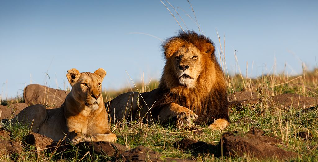 Tour tra il meglio del Kenya
