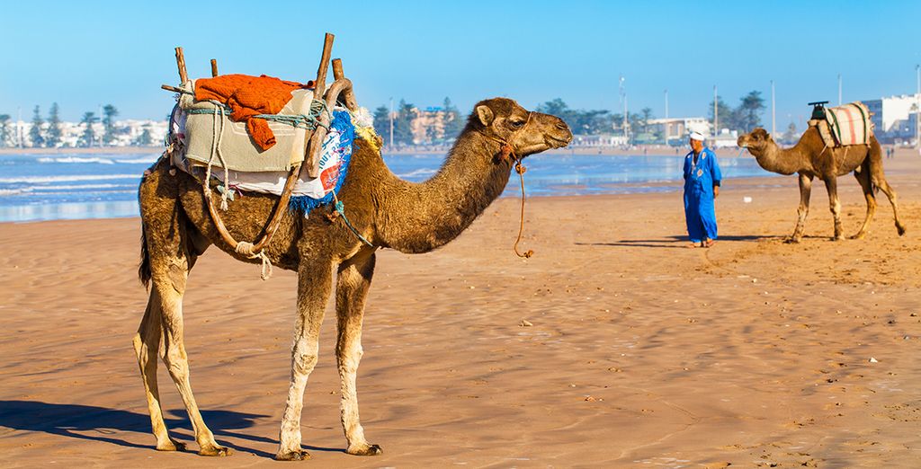 Le Medina Essaouira Hotel Thalassa Sea & Spa - MGallery Collection 5*