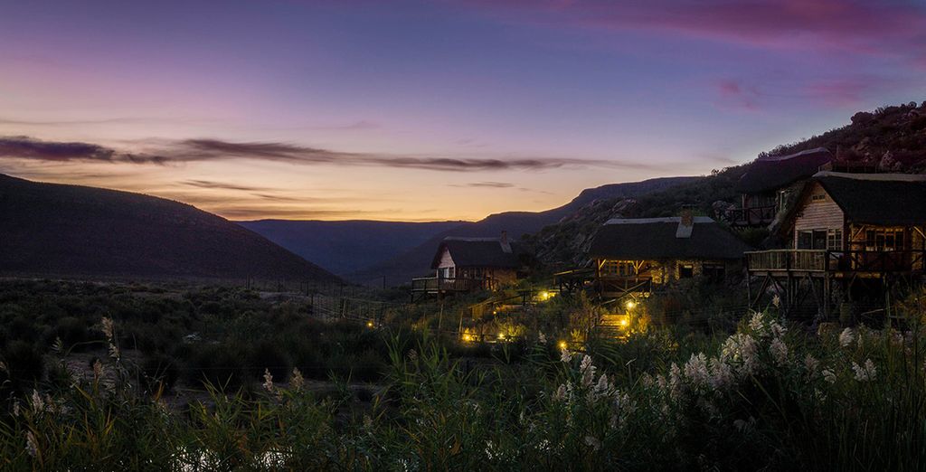 Città del Capo & Aquila Private Reserve con noleggio auto 