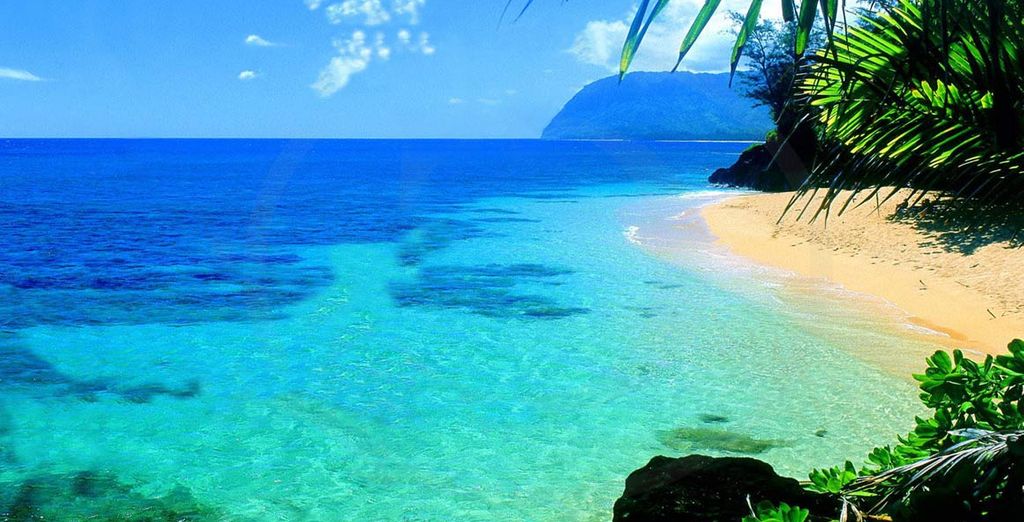 Combinato Los Angeles + Hawaii