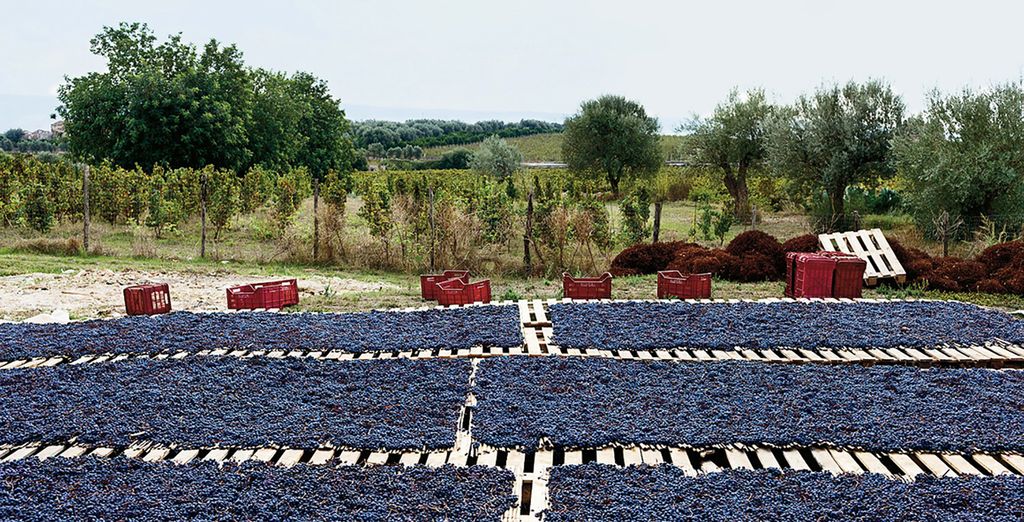 Baglio Occhipinti