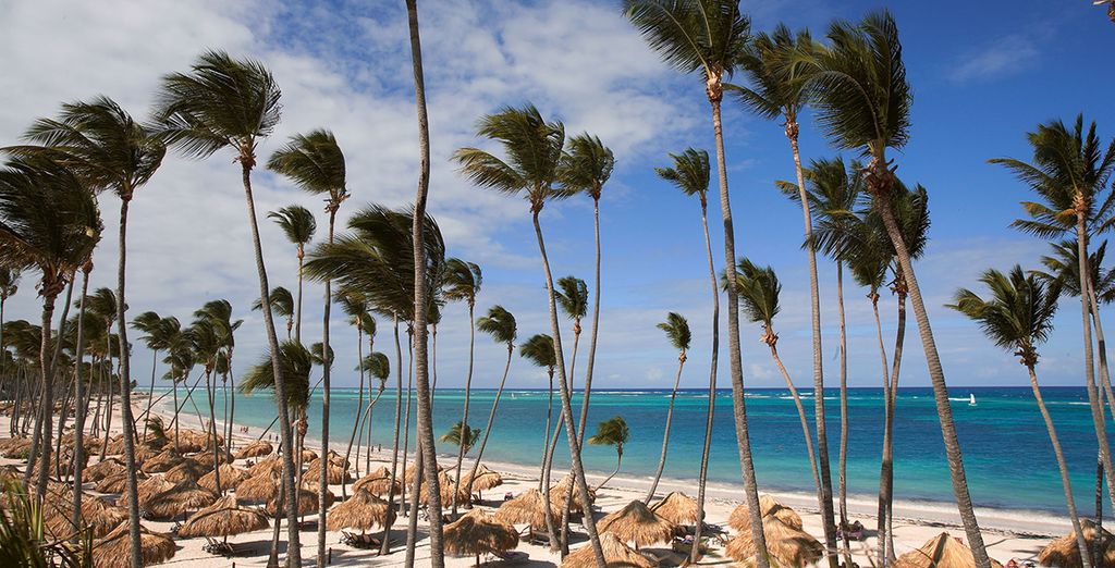 Paradisus Palma Real 5* - Adult only