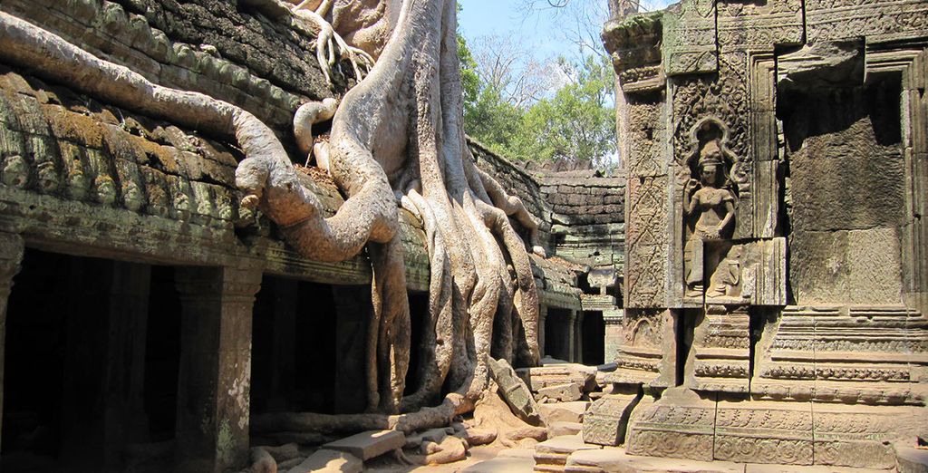 Tour Vietnam 8 giorni / 7 notti + estensione Cambogia 3 giorni / 2 notti
