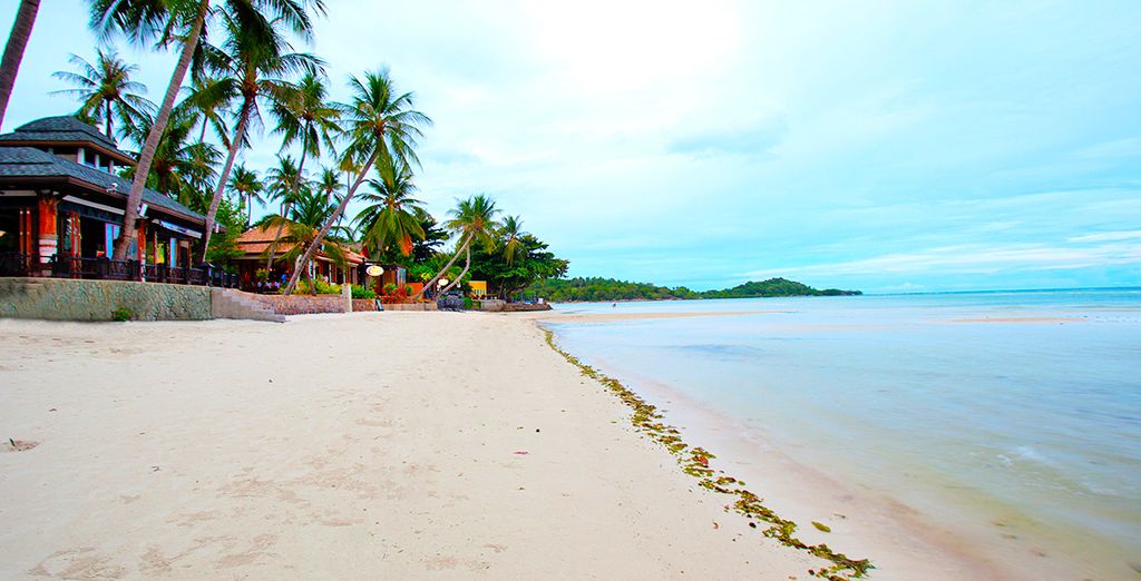 Hotel Rembrandt e Hotel Chaba Cabana Beach Resort