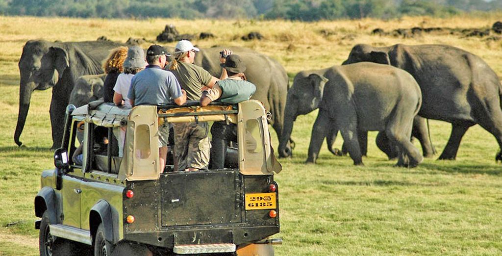 Minitour Sri Lanka e soggiorno mare in All Inclusive