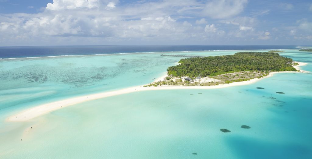Holiday Island 4* - Sun Island 4* - Paradise Island 5*