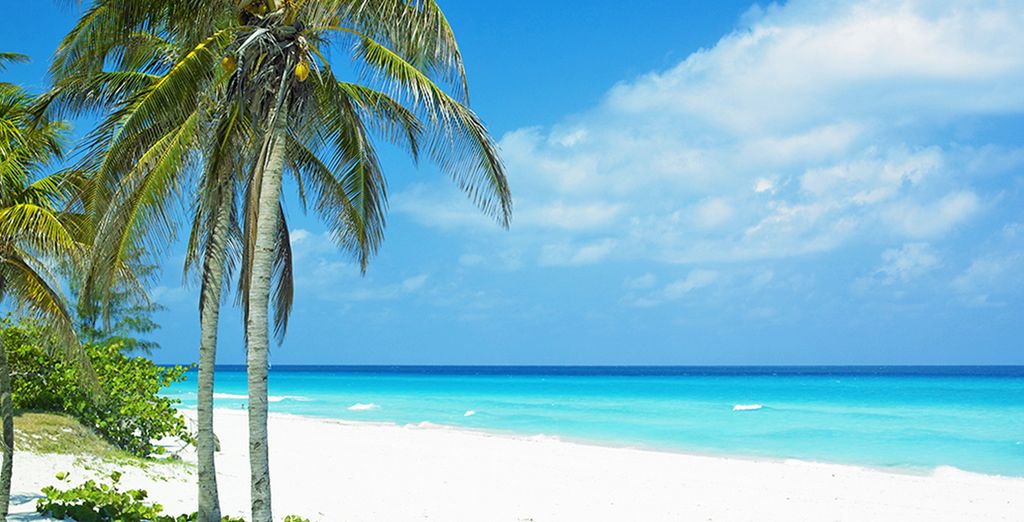 Casa Particular + Hotel Warwick Cayo Santa Maria 4*S