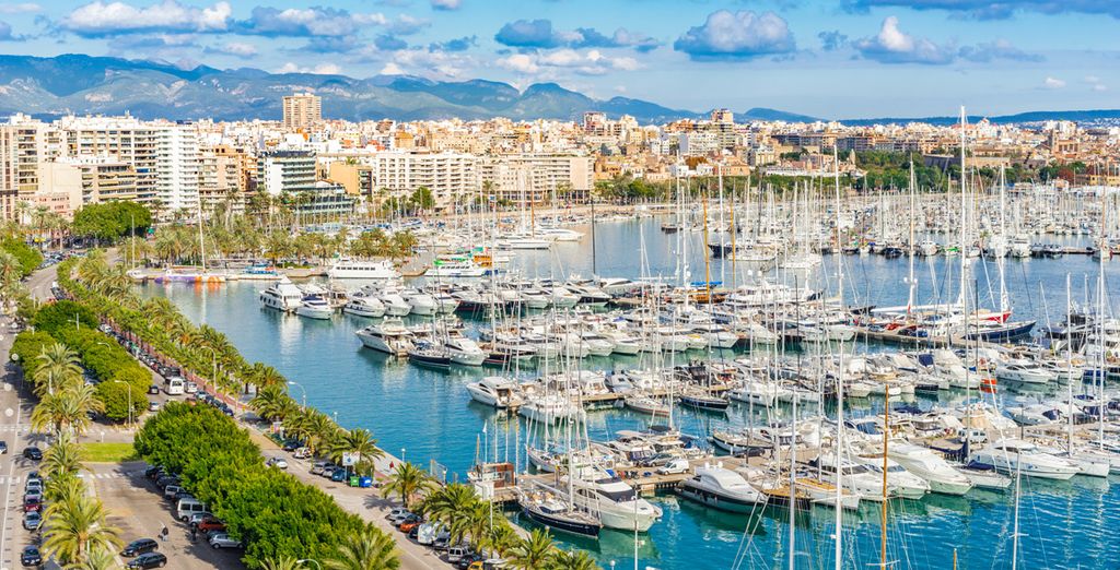 Hotel Alua Calvia Dreams 4*