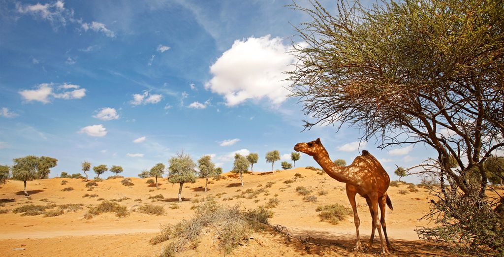 Al Hamra Village Golf & Beach Resort 5*