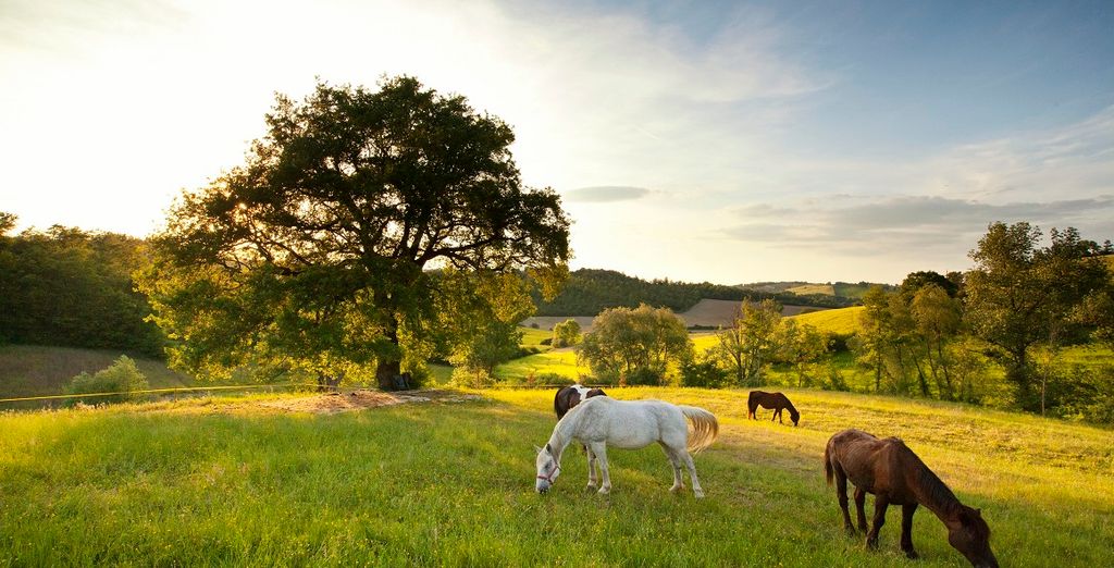 Umbria Resort Spa 4*